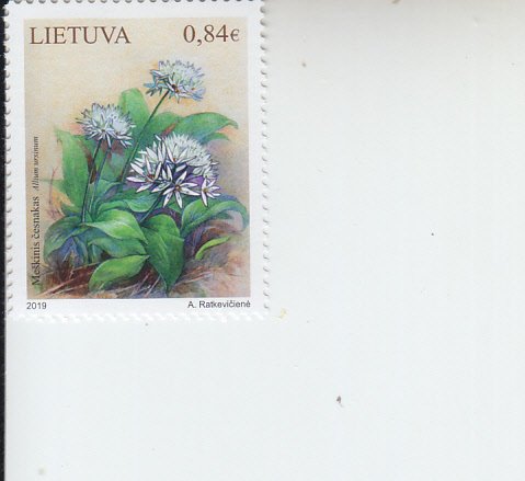 2019 Lithuania Red Book Plant - Allium Ursinum  (Scott NA) MNH