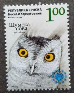 *FREE SHIP Serbia Owls 2008 Bird Of Prey Fauna (stamp) MNH