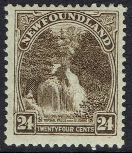 NEWFOUNDLAND 1923 PICTORIAL 24C