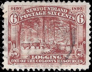 Newfoundland 1897 Sc 66 uvf Logging Industry