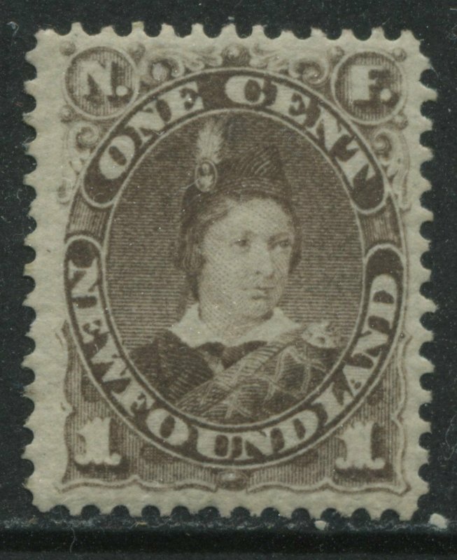 Newfoundland 1880 1 cent gray brown unmounted mint NH