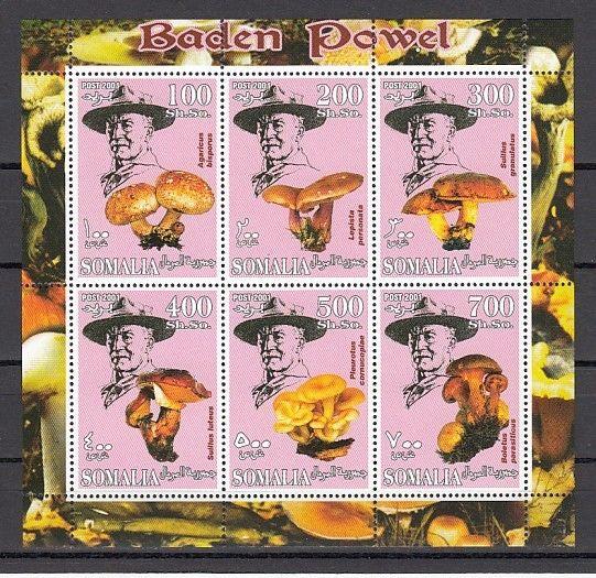 Somalia, 2001 Cinderella issue. Mushrooms & Scout Founder, sheet of 6.