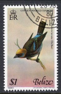 Belize 500f Bird Used VF