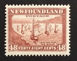 Newfoundland 199 F-VF MNH