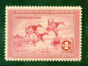 US Scott RW2 Canvas Backs Duck Stamp Mint VF LH GORGEOUS