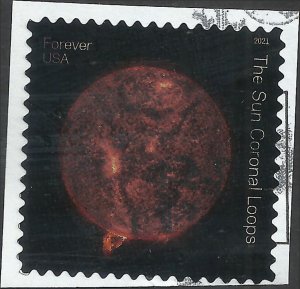 # 5599 Used Sun Science