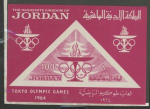 Jordan #490v Unused Souvenir Sheet