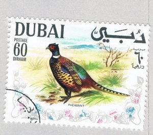 Dubai  Used Common Pheasant 1968 (BP83809)