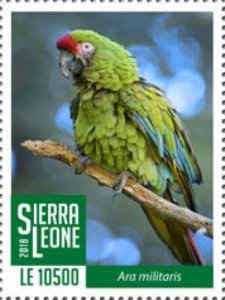 Sierra Leone - 2019 Military Macaw - Stamp - SRL1801local06a 