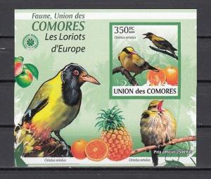 Comoro Is., 2009 issue. Birds on an IMPERF s/sheet. ^