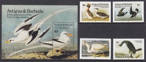 Antigua & Barbuda, Fauna, Birds, J. Audubon MNH / 1985