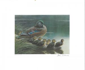 WEST VIRGINIA #2 1988 STATE DUCK STAMP PRINT WOOD DUCKS  Steven Dillard 2 stamps