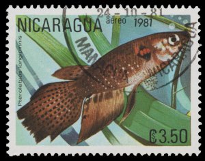 NICARAGUA  STAMP 1981. SCOTT # C983. CTO