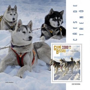 Guinea-Bissau 2019 MNH Sled Dogs Stamps Siberian Huskies Husky 1v S/S