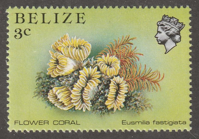 Belize stamp, Scott#701,  mint,  never hinged, 3C,  coral