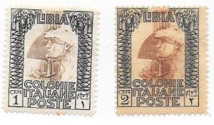 Libya #47-48   (MH) CV $5.50