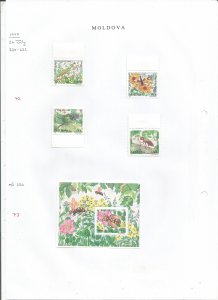 MOLDOVA - 1997 - Insects - Perf 4v Set & Souv Sheet - M N H