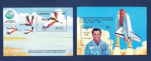 LESOTHO - Scott 944-945  - FVF MNH S/S - Birds, Cranes - Space - 1992