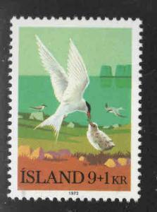 Iceland Scott B24 MNH** 1974 Arctic Tern bird semi-postal stamp