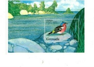 Grenada - 1995 - Birds - Souvenir Sheet - MNH (Scott#2410)