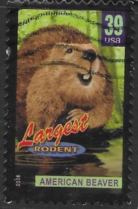 US #4064 used. Wonders of America. Largest Rodent - American Beaver.  Nice.