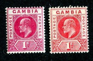 1909 Gambia Sc #42/42a  wmk3 m* cv.$22 ( 9049 BCXX5 )