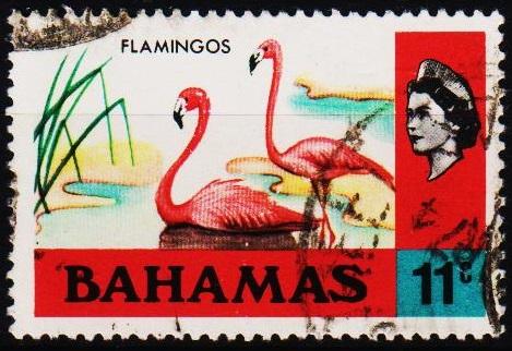 Bahamas. 1971 11c S.G.368 Fine Used