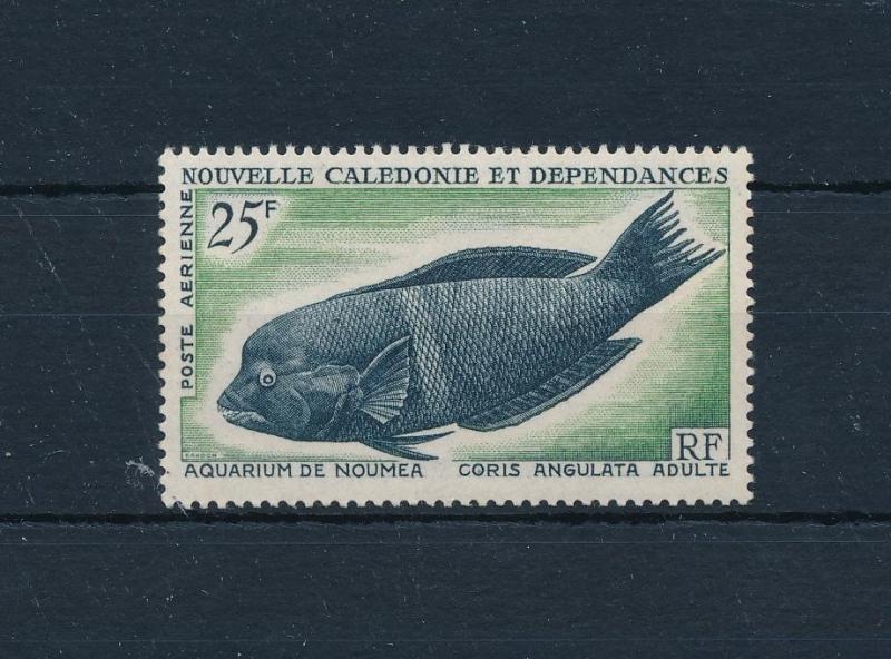 [51962] New Caledonia 1965 Marine life Fish from set MNH