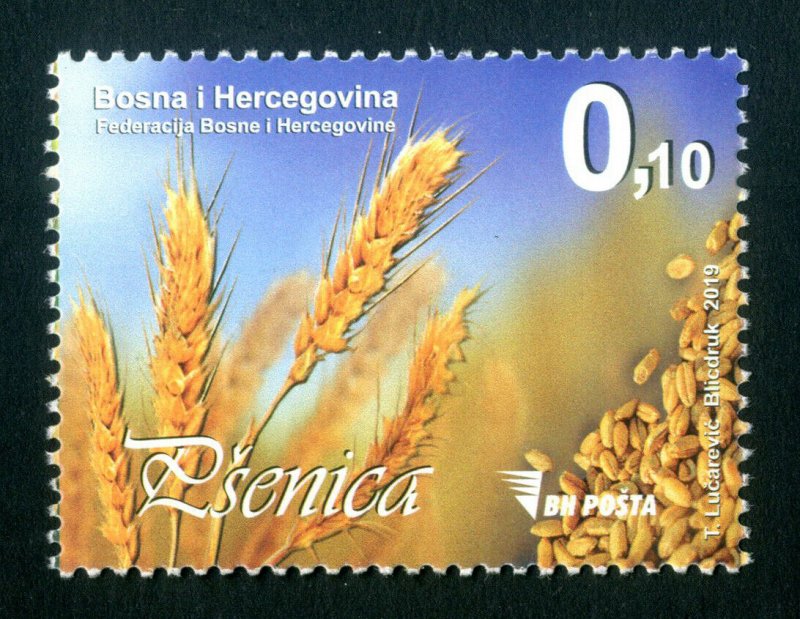 BOSNIA&HERZEGOVINA 2019 - CEREALS 2019 (Gastronomy, Plants), MNH