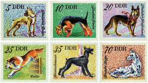 64602 MNH ALEMANIA DEMOCRATICA 1976 PERROS DE RAZA