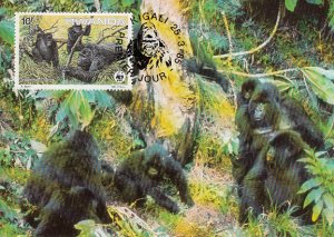 Rwanda 1985 Maxicard Sc #1208 10fr Mountain gorilla WWF