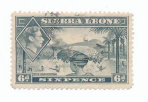 Sierra Leone 1938 Scott 180 used - 6p, Rice Harvesting