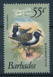 [64319] Barbados 1981 Birds   MLH