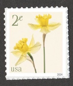 US Flowers Daffodils 2c single MNH 2024 after 7/31