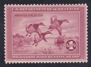 RW2 MNH OG 1935 $1 Canvasbacks Taking to Flight Duck Hunting Stamp Fresh Cv $700