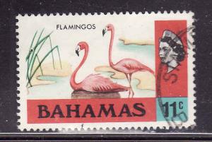 Bahamas-Sc #322-used-11c Flamingo-Birds-1971-