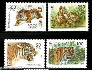 Russia 1993 WWF Siberian Tiger Big Cat Wildlife Fauna Animal Sc 6178-81 MNH #154