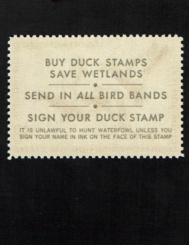 Scott #RW38 XF/Sup-OG-NH. SMQ - $110.00