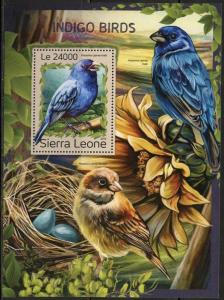 SIERRA  LEONE 2016 INDIGO BIRDS SOUVENIR SHEET  MINT NH