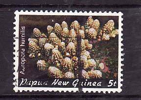 Papua New Guinea-Sc#567- id5- used 5t-Corals-Marine Life-1982-