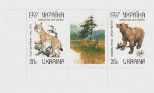 1997 Ukraine stamps lynx, brown bear, animal world, fauna, MNH