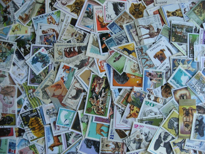 Topical hoard breakup 200 Dogs. Mixed condition, few duplicates