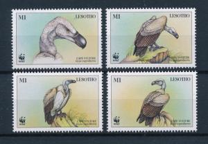 [53479] Lesotho 1998 Birds Vögel Oiseaux Ucelli WWF Vulture MNH