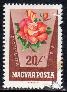 Hungary 1465 - Cto - Floribunda Rose