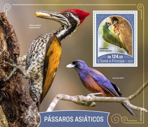 St Thomas - 2021 Asian Birds, Barbet - Stamp Souvenir Sheet - ST210526b