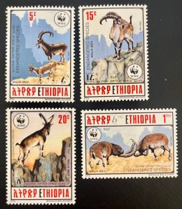 Ethiopia 1303-6 / 1990 Walia Ibex Stamps / Complete Set / MNH