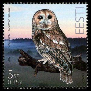 Estonia Estland 2009 Fauna birds Grey owl Stamp MNH