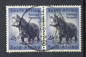 SOUTH AFRICA; 1954 early Wildlife Hippo issue 4.5d used PAIR