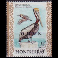 MONTSERRAT 1976 - Scott# O1 Pelican 5c Used