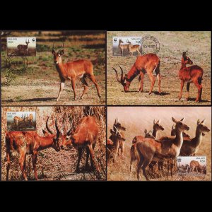 MALAWI 2003 - Maximum Cards - 714 WWF-Puku Set of 4